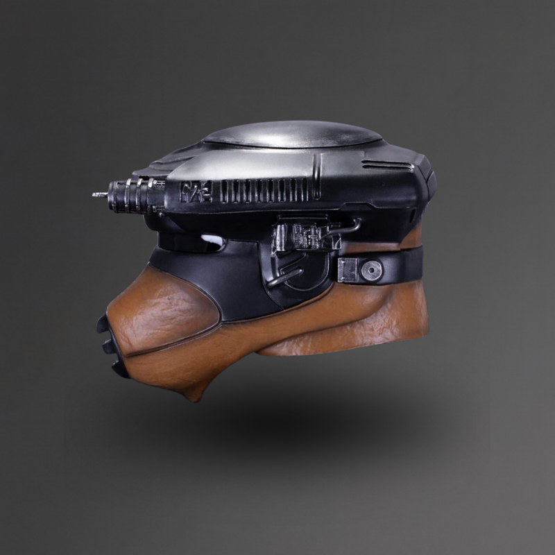 Leia Boushh Helmet